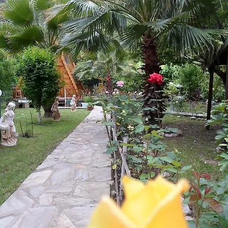 Oran Pansiyon Agac Evler Çıralı