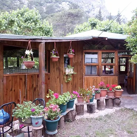 Oran Pansiyon Agac Evler Çıralı