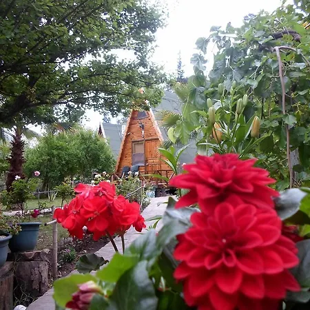 Oran Pansiyon Agac Evler