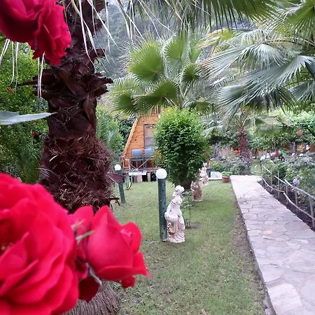 Oran Pansiyon Agac Evler Çıralı