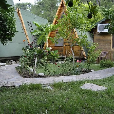 Oran Pansiyon Agac Evler Çıralı