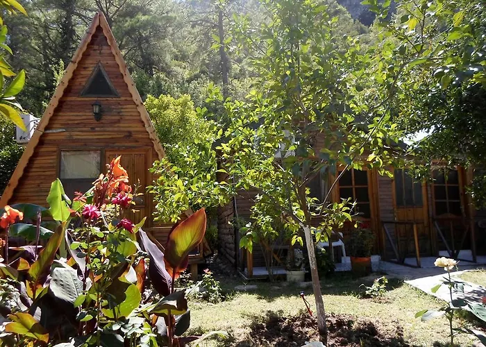 Oran Pansiyon Agac Evler