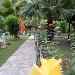 Oran Pansiyon Agac Evler Çıralı