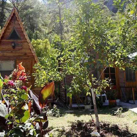 Oran Pansiyon Agac Evler