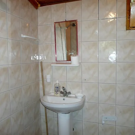 ゲストハウス Oran Pansiyon Agac Evler *