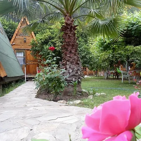 ゲストハウス Oran Pansiyon Agac Evler