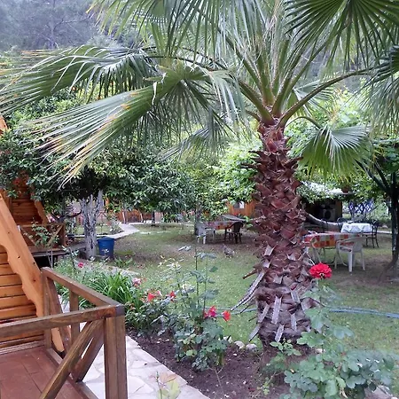 ゲストハウス Oran Pansiyon Agac Evler Çıralı