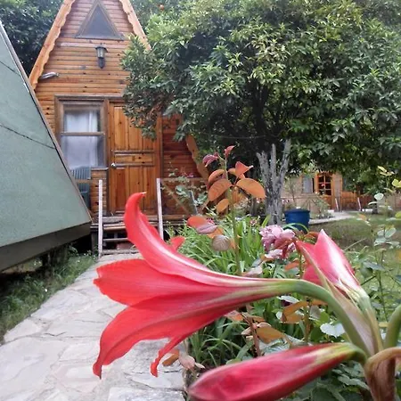 ゲストハウス Oran Pansiyon Agac Evler *