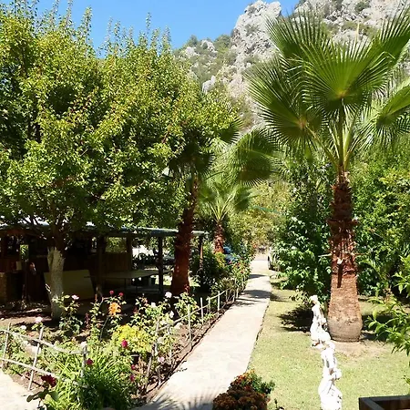 Oran Pansiyon Agac Evler Çıralı