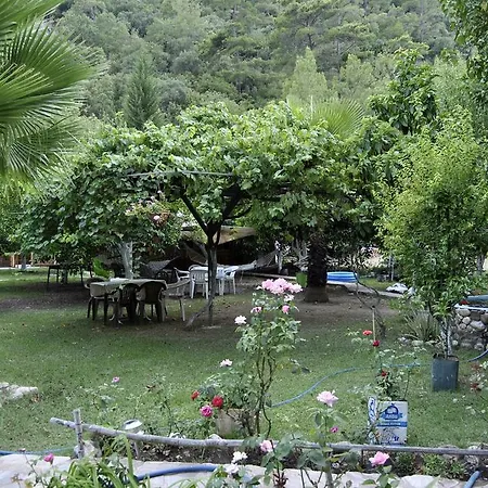 Oran Pansiyon Agac Evler Çıralı