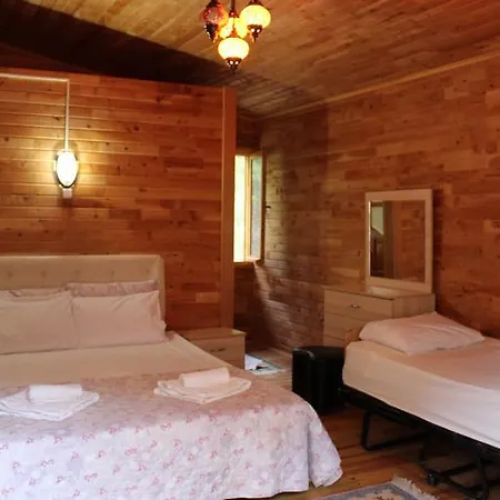 Oran Pansiyon Agac Evler ゲストハウス Çıralı