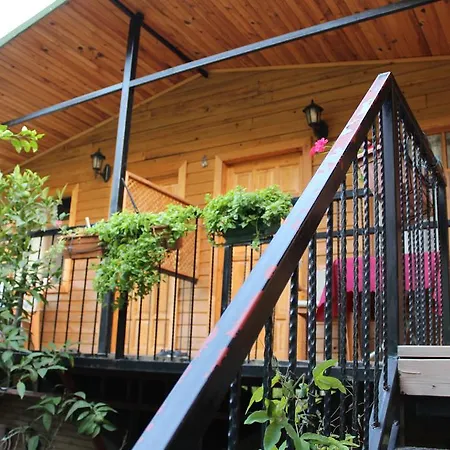 Oran Pansiyon Agac Evler ゲストハウス