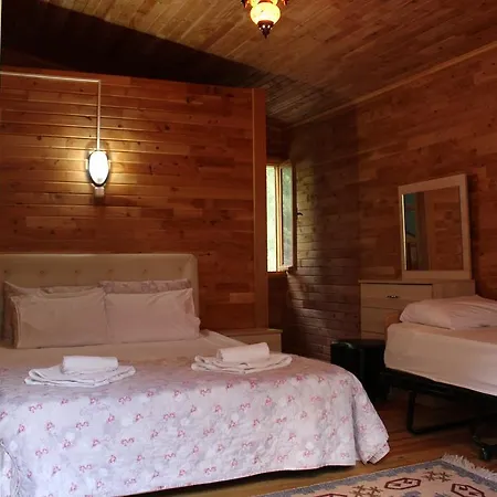 Oran Pansiyon Agac Evler ゲストハウス Çıralı