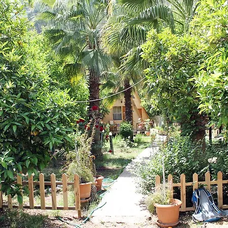 ゲストハウス Oran Pansiyon Agac Evler Çıralı