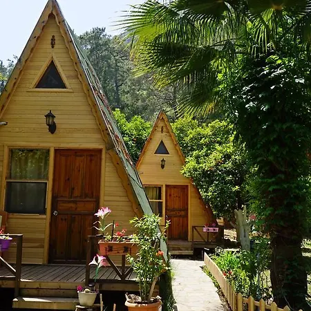 Oran Pansiyon Agac Evler * Çıralı