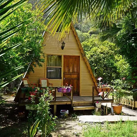 ゲストハウス Oran Pansiyon Agac Evler